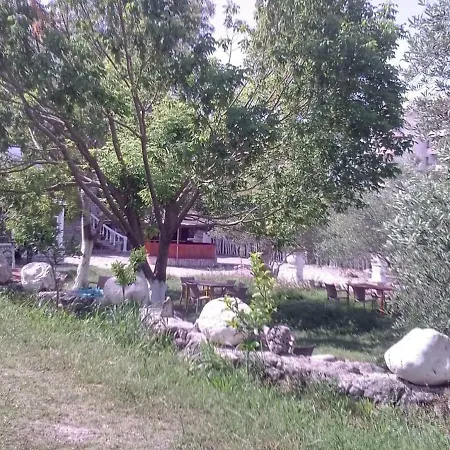 California *