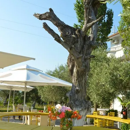 California Hotell